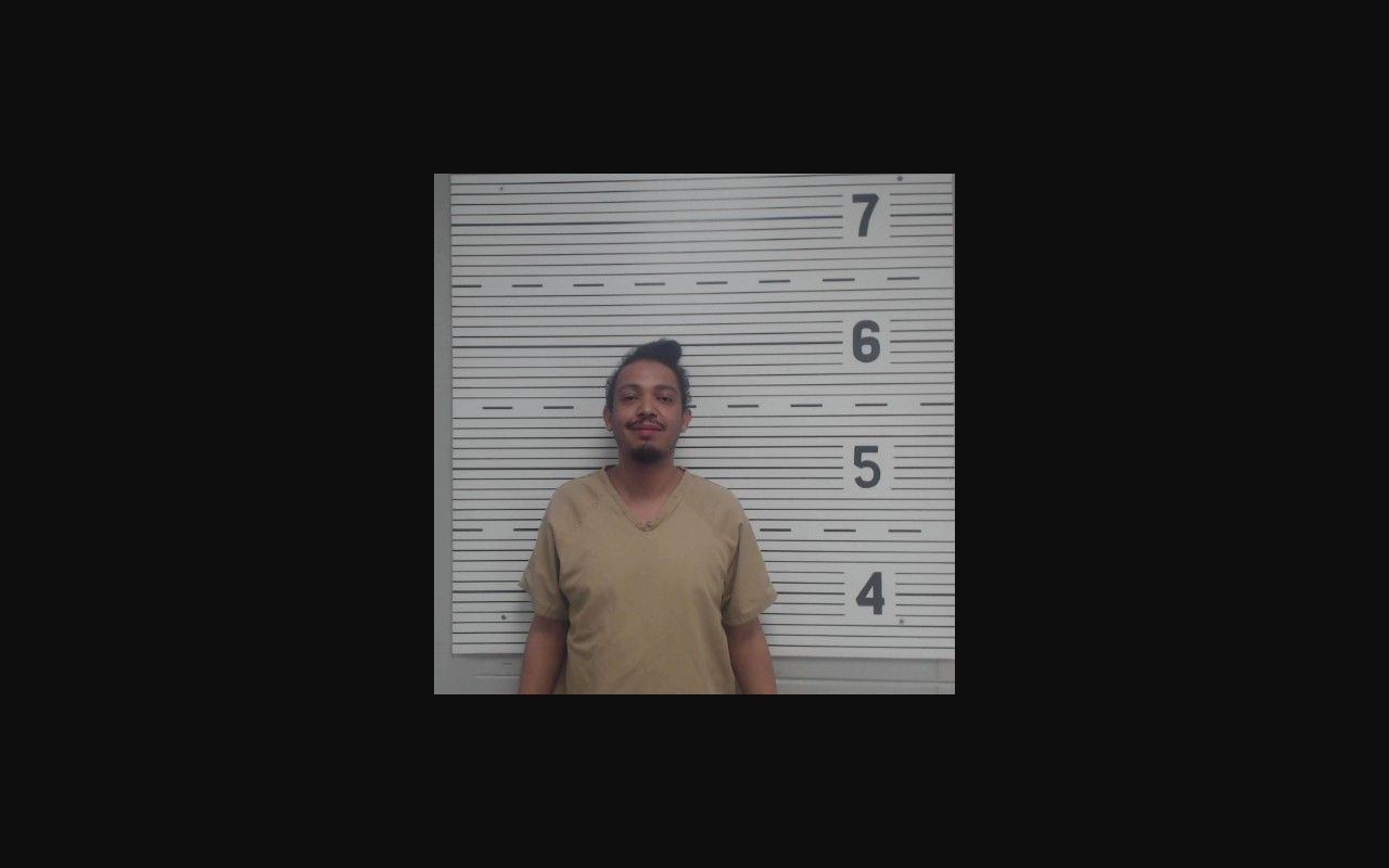 Lawrence County released inmate mugshots OCV booking photo source